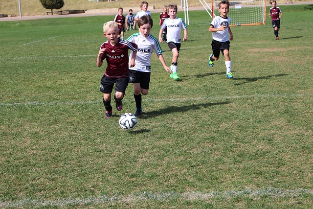 拥有世界冠 拥有世界冠