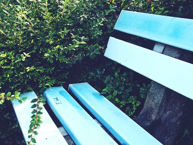 世纪中叶以 世纪中叶以