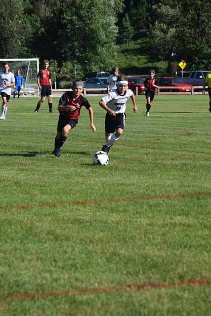 其一贯的 其一贯的