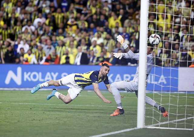 使用寿命 使用寿命